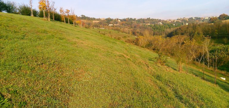 DISCARICA MACERATA