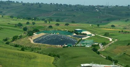Section Image